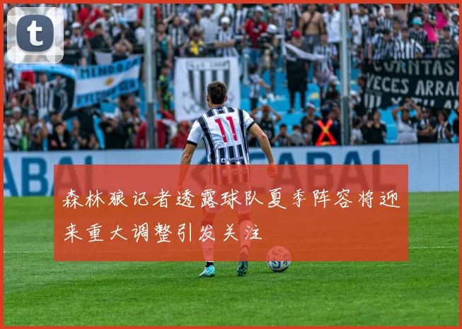 森林狼记者透露球队夏季阵容将迎来重大调整引发关注